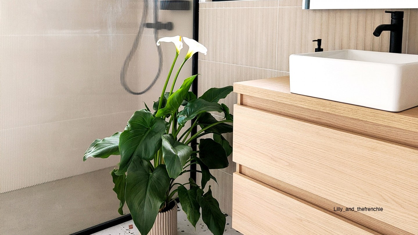 Meuble de salle de bain suspendu vasque à poser 90cm 2 tiroirs Chêne clair - Rivage