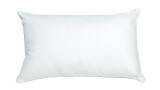 OREILLER DUVET ET PLUMETTES 45X70