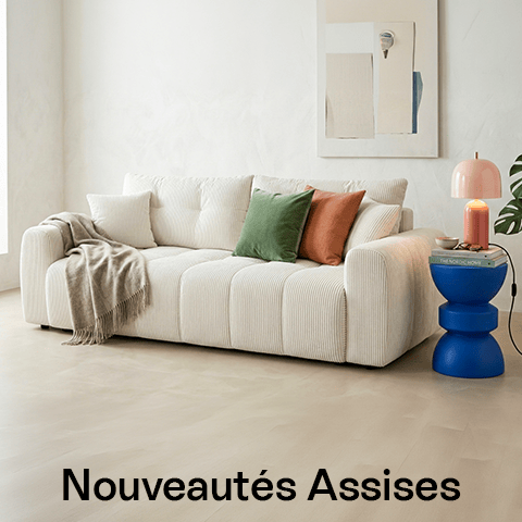 Assises